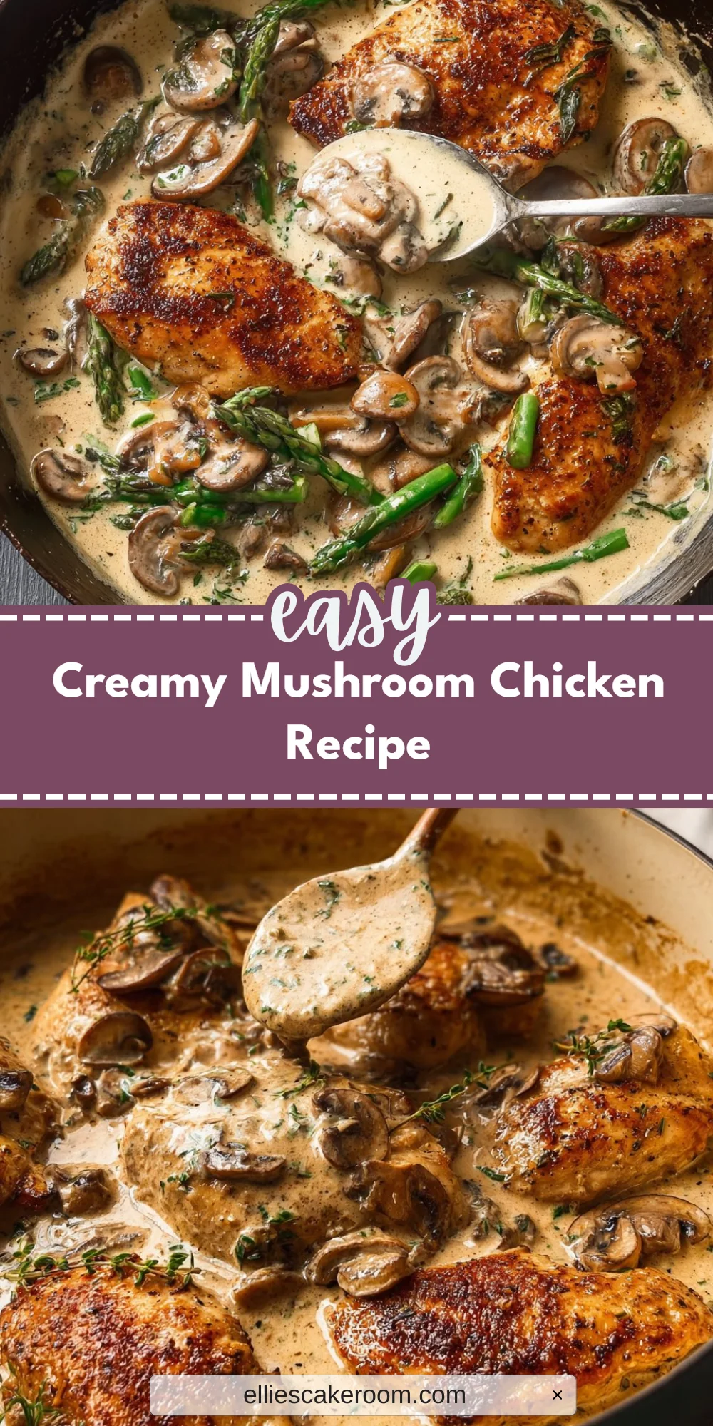 Creamy Mushroom Chicken Recipe