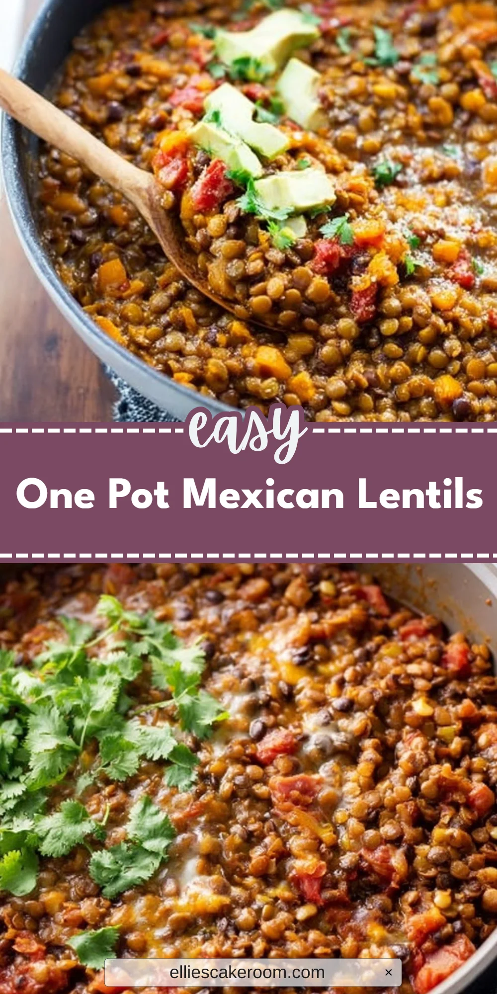 One Pot Mexican Lentils