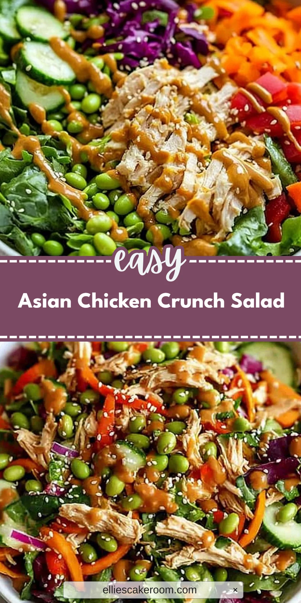 Asian Chicken Crunch Salad