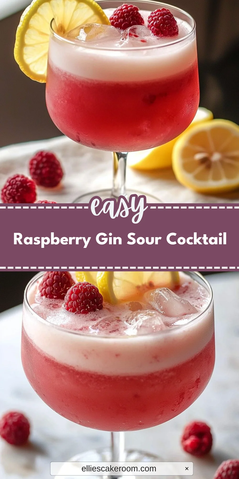 Raspberry Gin Sour Cocktail