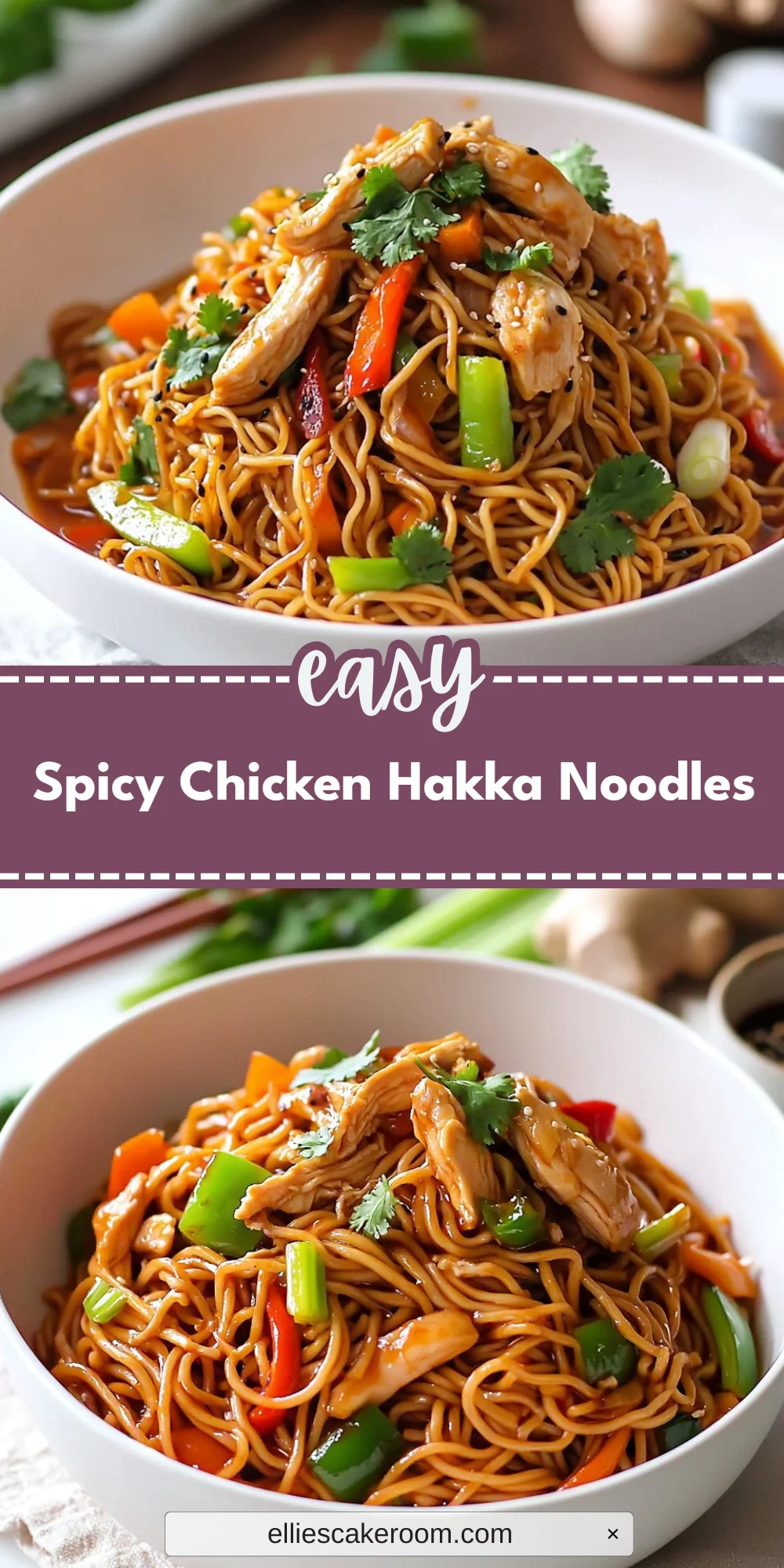 Spicy Chicken Hakka Noodles