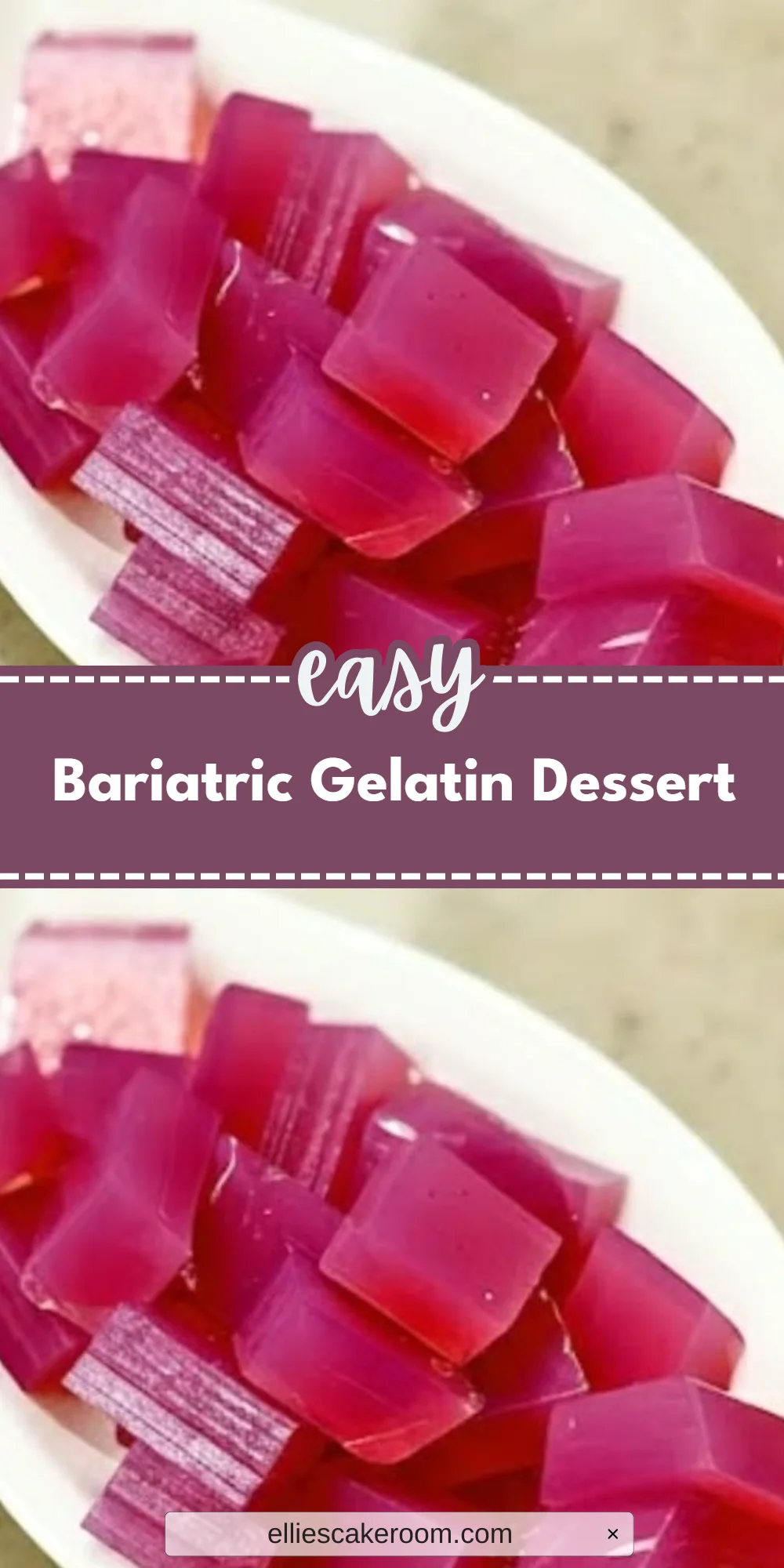 Bariatric Gelatin Dessert