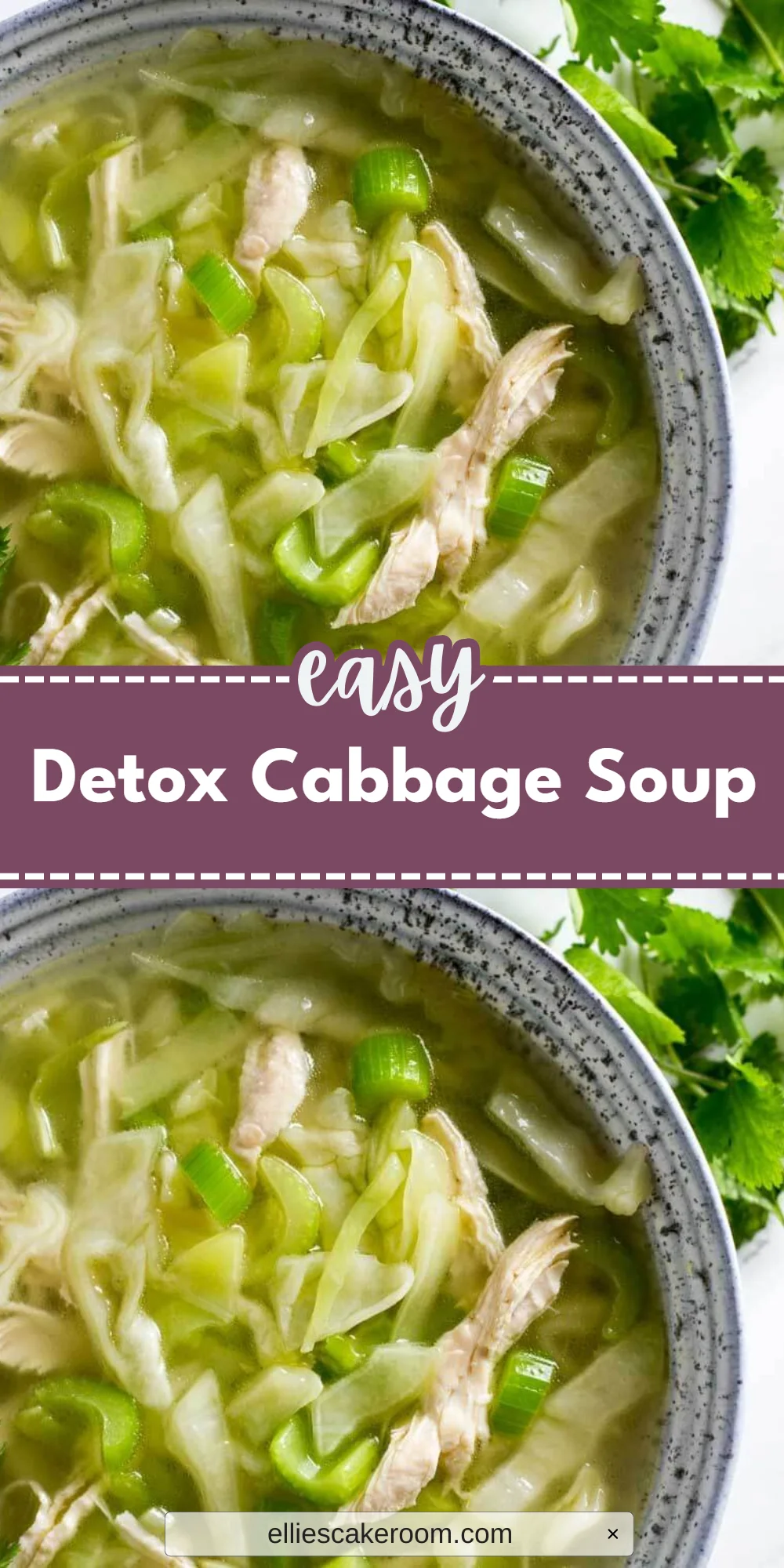 Detox Cabbage Soup