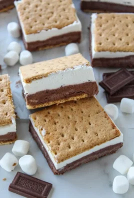Delicious homemade Frozen S'mores dessert with chocolate and marshmallows.