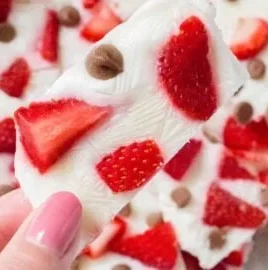 Frozen Yogurt Bark with strawberries and chocolate chips on a white plate.
