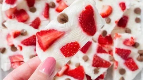 Frozen Yogurt Bark with strawberries and chocolate chips on a white plate.