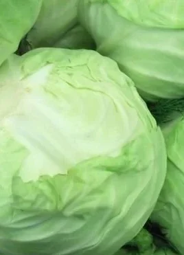Plate of Japanese cabbage salad with fresh vegetables and sesame dressing.