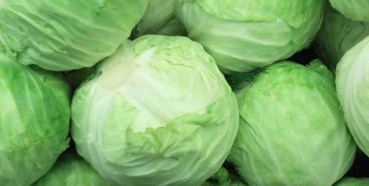 Japanese Cabbage Salad